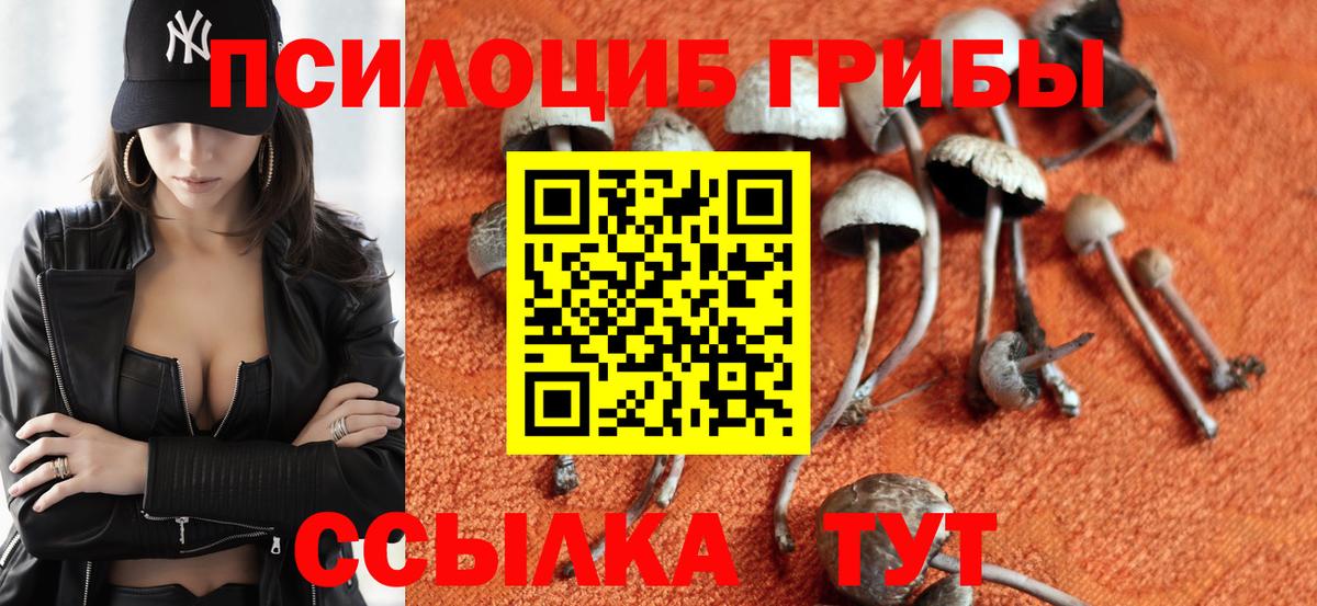 Новосибирск  Галлюциногенные грибы мухоморы  Вход с VPN  Галлюциногенные грибы прущие грибы 